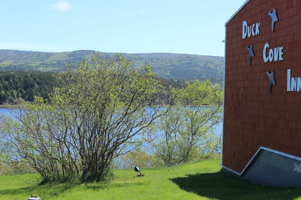 Duck Cove Inn Margaree Harbour Exterior photo